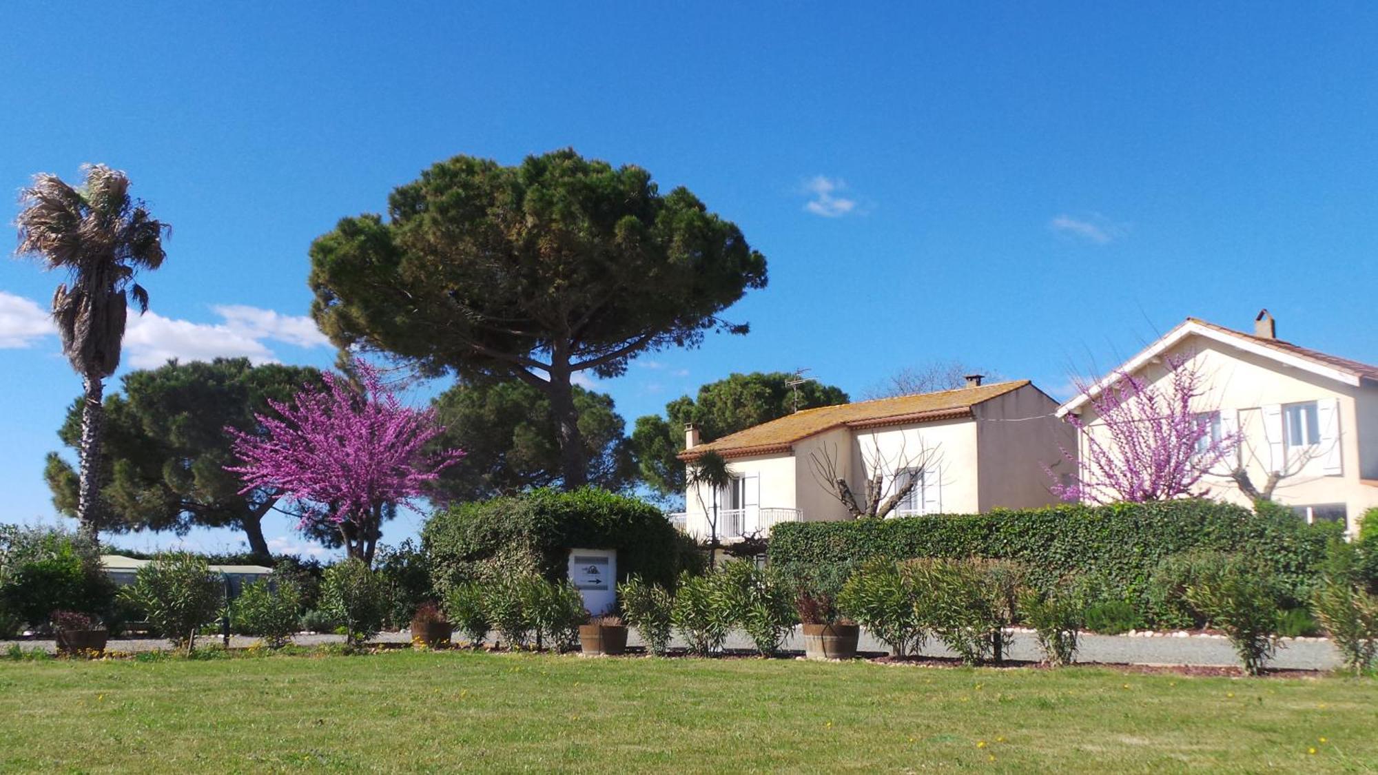 A L'Oree Des Vignes Montady Kültér fotó