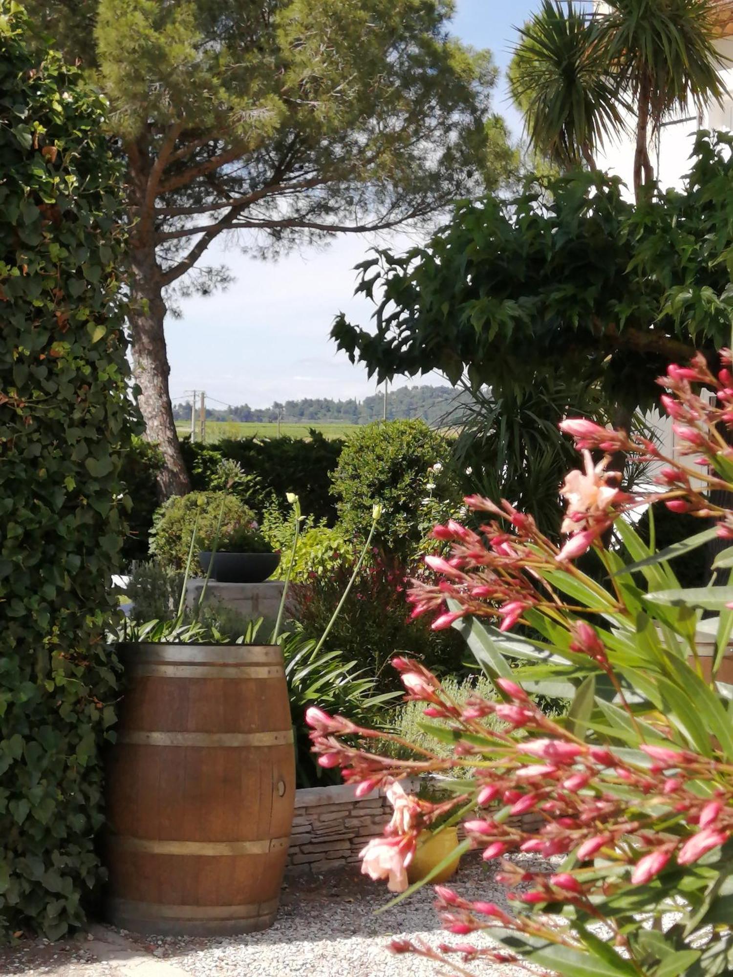 A L'Oree Des Vignes Montady Kültér fotó