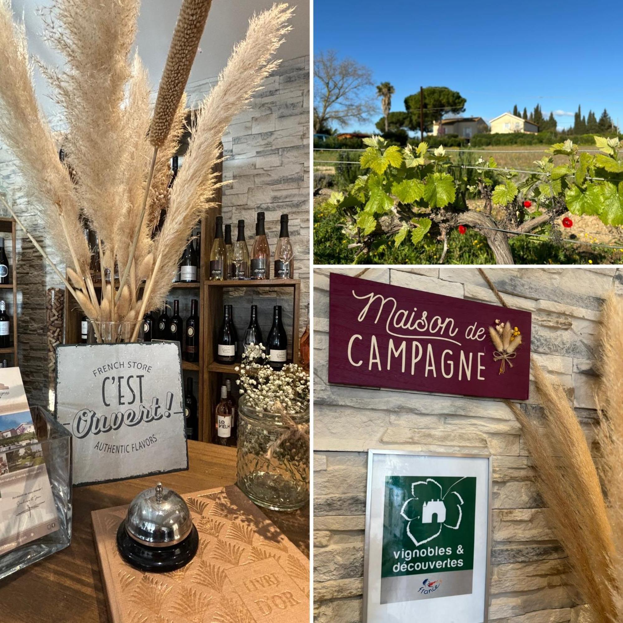 A L'Oree Des Vignes Montady Kültér fotó